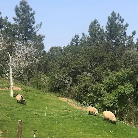 Quinta Da Casa Azul בית נופש
