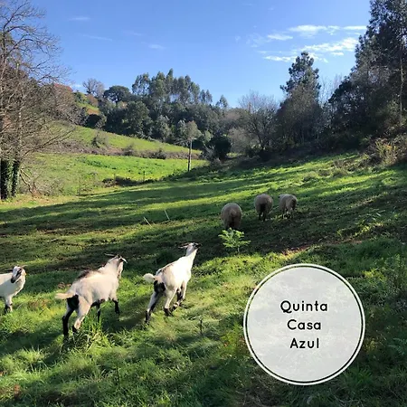 Quinta Da Casa Azul * Obidos