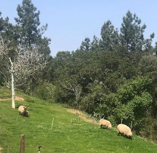 Quinta Da Casa Azul בית נופש